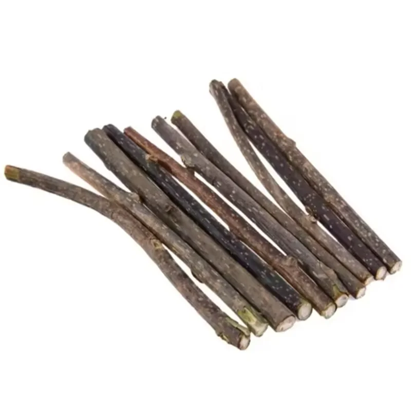 Silvervine Sticks for Cats Natural Cat Chew Sticks Teeth Molar Chewing Toys Cat Teething Toy Pet Supplies